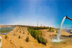 «مدكور» تفاوض «الريف المصري» لإنشاء محطة كهرباء فى غرب المنيا