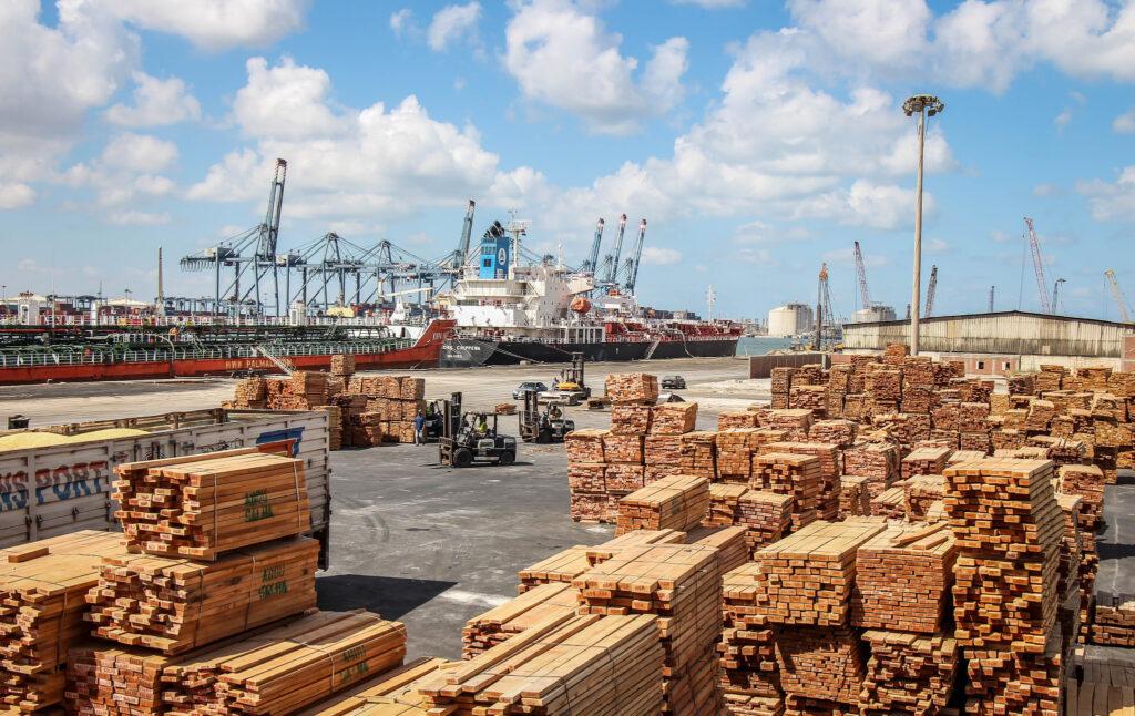 القمح والسكر والحديد أهم ما استقبله ميناء دمياط خلال الأسبوع الماضي