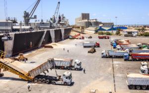 ميناء دمياط يستقبل 10400 طن ذرة ويُصدر 7300 طن علف بنجر
