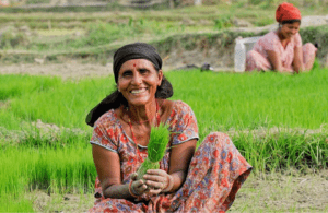 نسبتهم 30% من الفلاحين.. 36 مليون مزارع بالهند يملكون تأمينًا على محاصيلهم