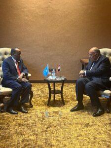 وزير الخارجية: مصر مستعدة لتسخير قدراتها لمساعدة الصومال في تنفيذ خططه التنموية ودعم استقراره