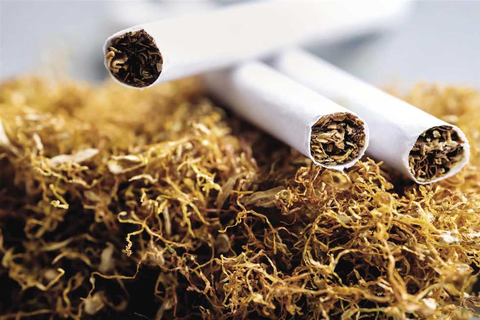 مصر تستورد تبغ وأدخنة بنحو 298.8 مليون دولار أول 11 شهر في 2023