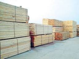 طرح مصنع للأخشاب للبيع عبر مزايدة علنية بسعر يصل إلى 97 ملايين جنيه