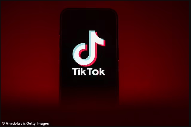 منصة «TikTok» تطلق مجلس الشباب العالمي لتطوير التصميم ومعايير الأمان