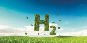 منها واحد لإنتاج الهيدروجين.. «زكي هاشم» يدير حزمة مشروعات خضراء
