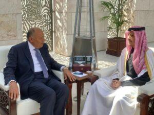 وزير الخارجية يستعرض فرص الاستثمار في مصر مع رئيس الوزراء القطري