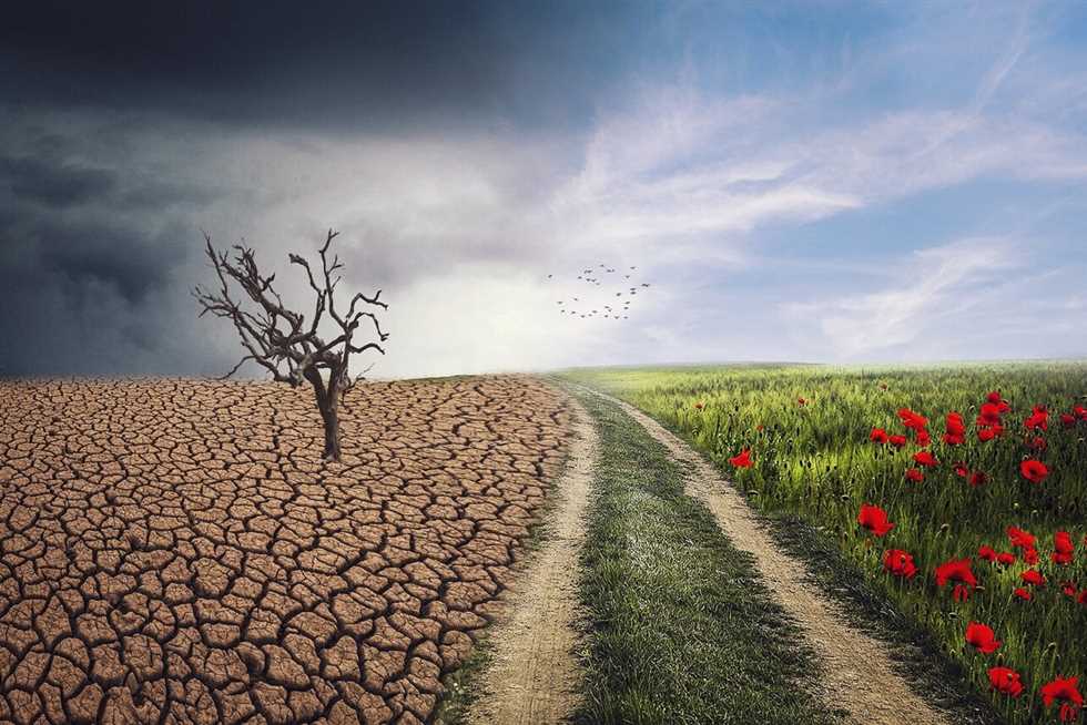 مسؤول بالبنك الدولي: نتدخل للحد من صدمات التغيرات المناخية على الزراعة وتحقيق الأمن الغذائي