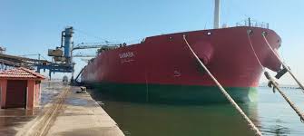 ميناء الإسكندرية تستقبل سفينة بحبوب قادمة من روسيا بحمولة 100 ألف طن