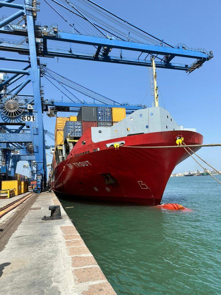 قطاع النقل البحري يصدر تعليمات بشأن اتفاقية حركة الملاحة الدولية «FAL»