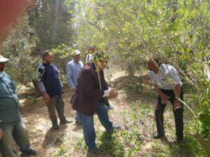 الزراعة: الفرق الإرشادية الريفية تتابع المحاصيل الاستراتيجية في شمال سيناء