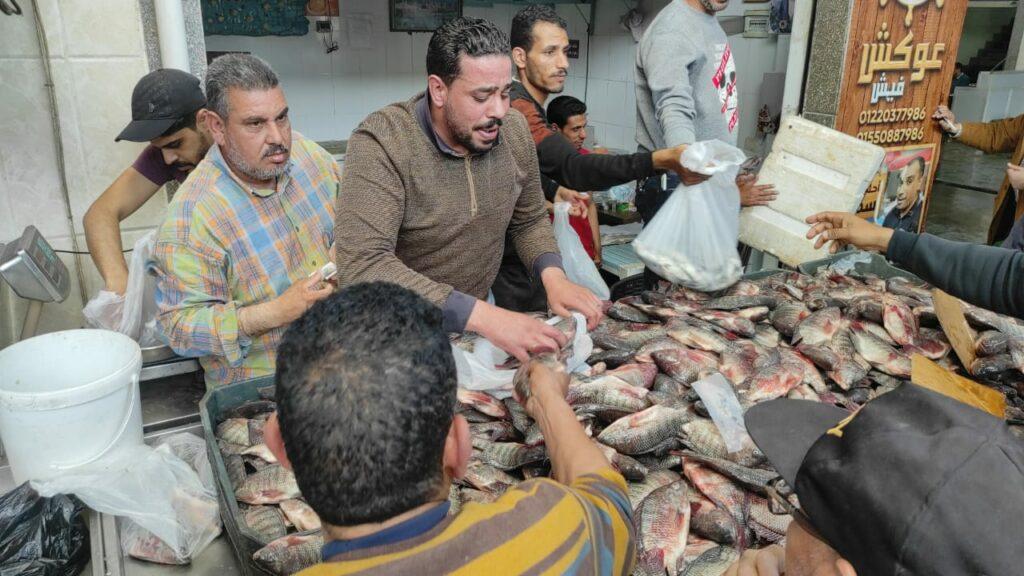 في اليوم الأول لانتهاء المقاطعة.. تجار بورسعيد يخفضون أسعار الأسماك 50%