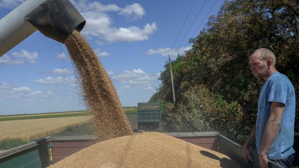 واردات مصر من الحبوب تسجل 6.48 مليون طن في 4 أشهر