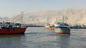 تحرك برلماني بشأن قرار وقف الصيد بخليج السويس والبحر الأحمر لمدة 5 سنوات