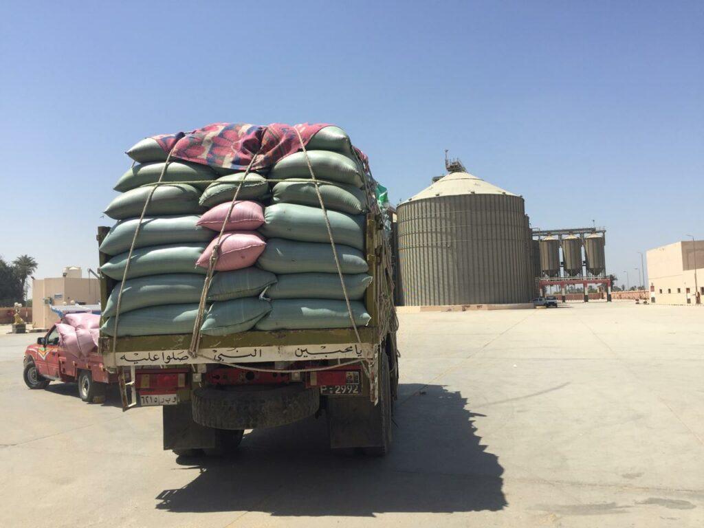 التموين: مواقع استلام القمح تفتح أبوابها أمام المزارعين خلال إجازة شم النسيم