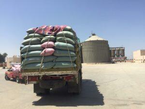 التموين: مواقع استلام القمح تفتح أبوابها أمام المزارعين خلال إجازة شم النسيم