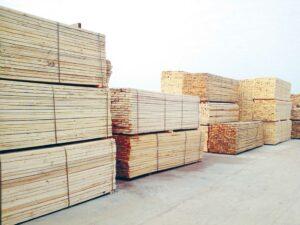 %70 تراجعا في مبيعات الأخشاب بالإسكندرية