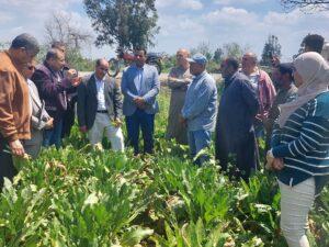 890 مرشدا زراعيا فى المحاصيل الاستراتيجية يقدمون الدعم للمزارعين بـ23 محافظة
