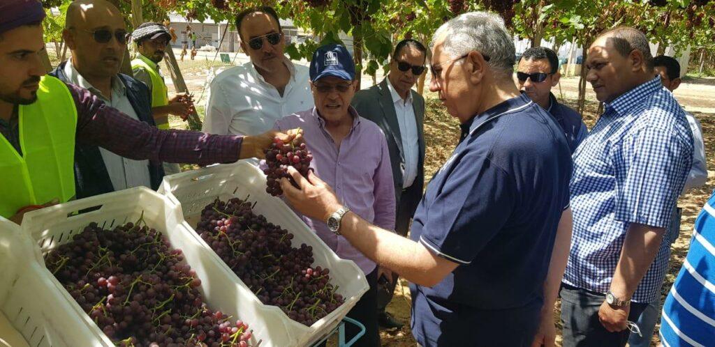 وزير الزراعة يتفقد إحدى محطات ومزارع التصدير بالنوبارية ويؤكد:  دعم الدولة لمنظومة الصادرات