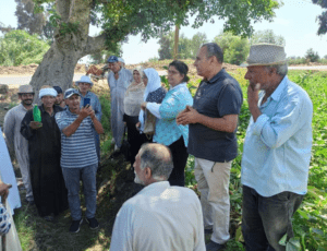 الإدارة المركزية للإرشاد الزراعي تواصل تنفيذ أيام الحقل للذرة الشامية