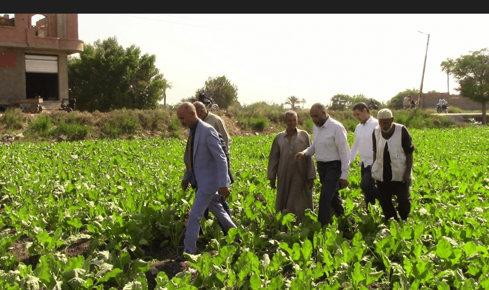 «الزراعة»: رئيس شئون المديريات يتابع كارت الفلاح وضبط منظومة الأسمدة فى الفيوم