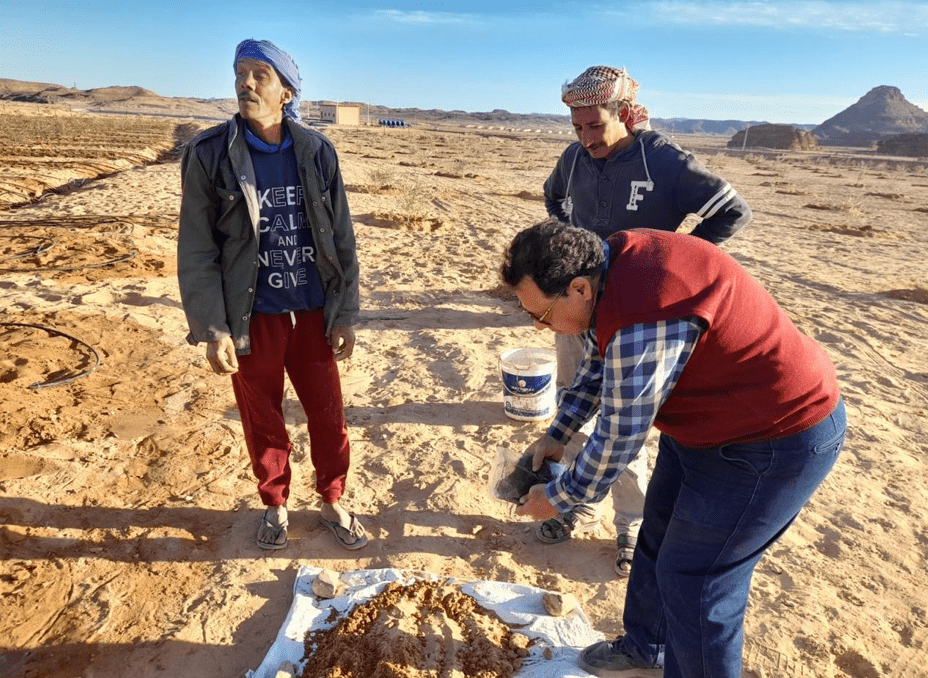 «بحوث الصحراء» ينظم حقولا إرشادية لزيادة الإنتاجية في سيناء