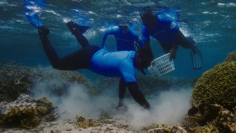 شراكة بين سامسونج وSeatrees لتعزيز جهود الاستدامة في المحيطات