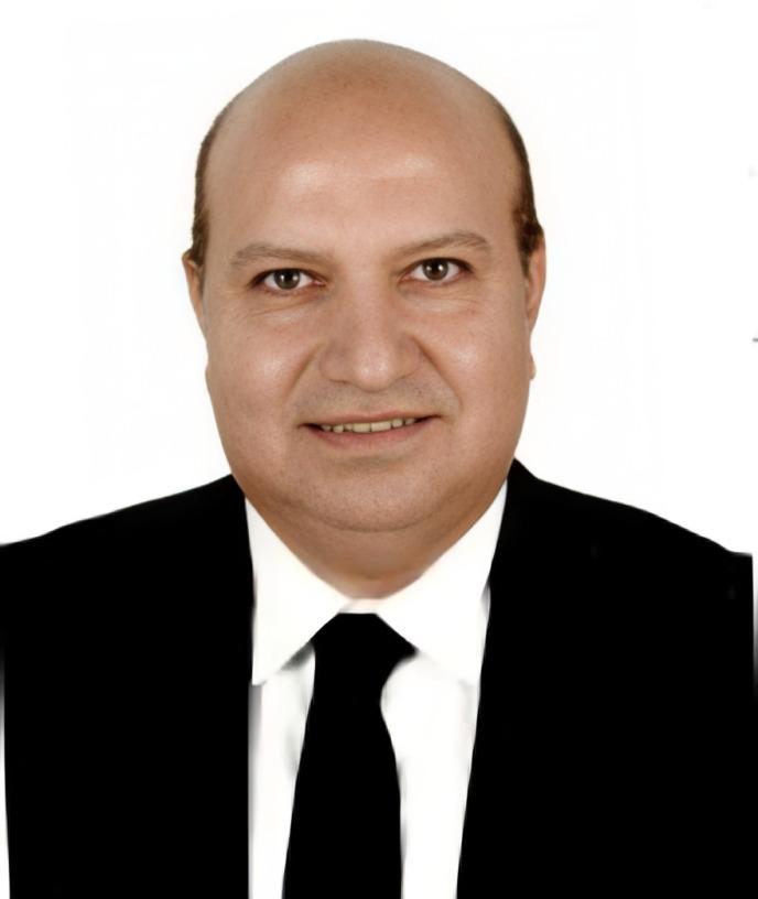 مدحت الصيرفي مساعدًا لعضو مجلس الإدارة المنتدب للشؤون المالية والتخطيط بمصر للتأمين