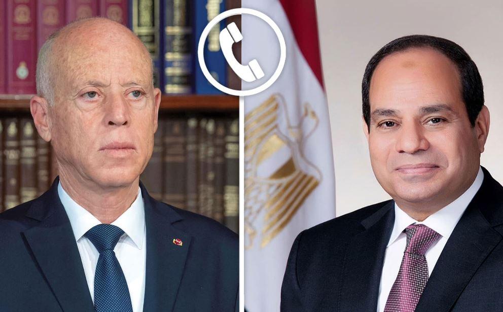 خبير: اتصال السيسي وقيس سعيد أكد الدعم التونسي الكامل لخطة مصر بإعمار غزة