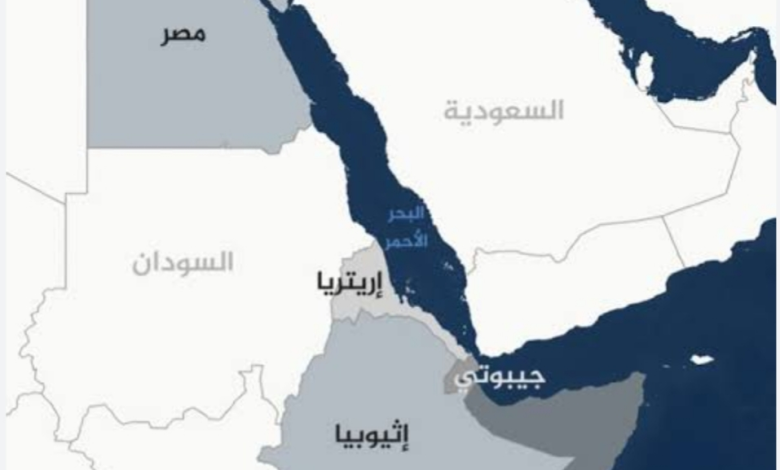 أهمها صادرات الأسمدة والزيوت.. علاقات اقتصادية واعدة بين مصر وجيبوتي رغم التحديات
