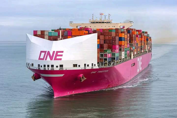 الخط الملاحى اليابانى NYK Line يعزز نشاطه فى شحن البضائع  السائبة بتحالف جديد