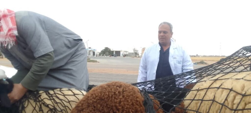 «بيطري مطروح» تنظم قافلة طبية لمنطقة أولاد أبو عميرة بالنجيلة