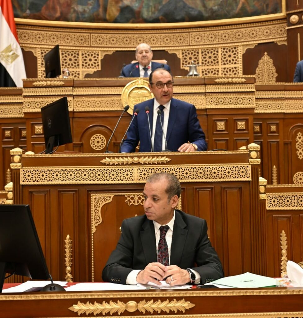 وزير قطاع الأعمال: شركاتنا عجوزة ونعيد الهيكلة الفنية لبناء اقتصاد تنافسي