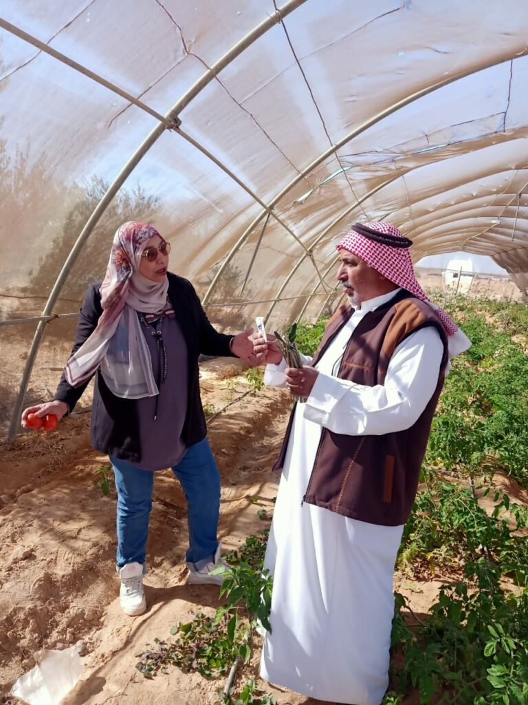 "بحوث الصحراء" يواصل المرور الميداني على التجمعات الزراعية بشمال ووسط سيناء لدعم المزارعين