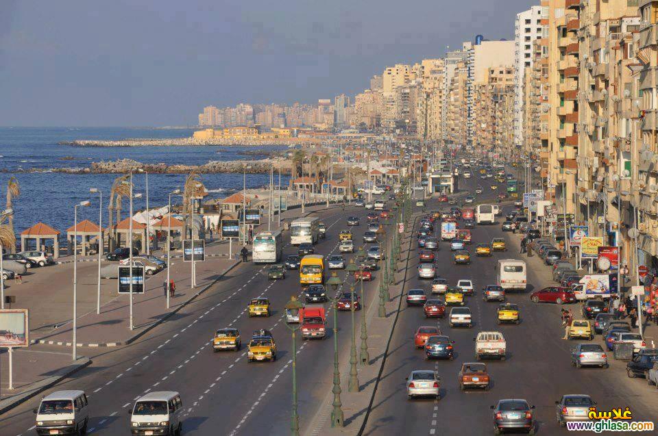 بدء التقديم على مقابر الناصرية في الإسكندرية.. تعرف على الأوراق المطلوبة