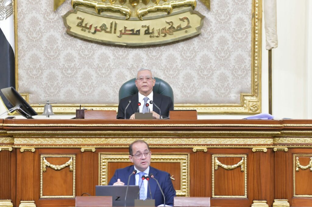 المالية: حققنا أعلى فائض أولي بالموازنة والقطاع الخاص استحوذ على 59% من الاستثمارات