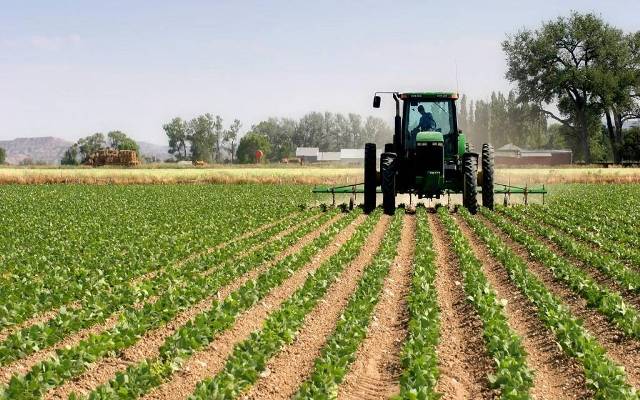«وادي كوم أمبو» تعلن نتائج مزاد بيع أراضٍ في منطقتها وغرب الدلتا