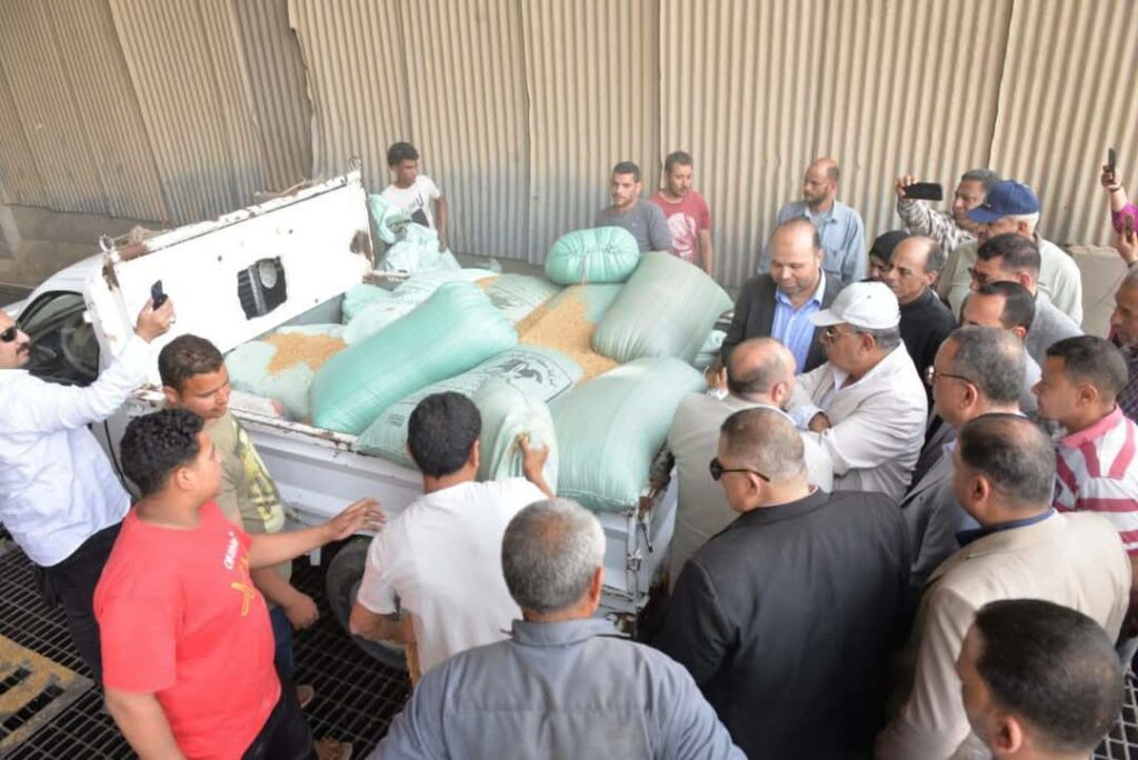 محافظ الدقهلية: توريد 92 ألف طن قمح محلي بمراكز التوريد والتخزين منذ بداية موسم الحصاد