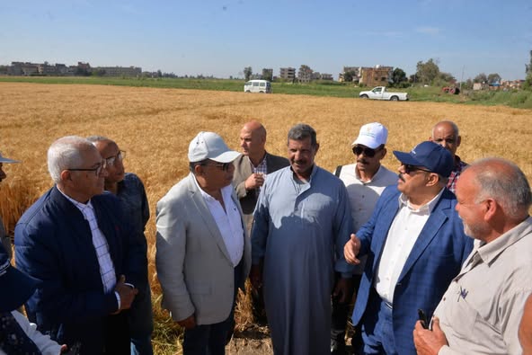 محافظ الدقهلية: نحتل المركز الثالث على مستوى الجمهورية في إنتاج القمح بفضل دعم القيادة السياسية
