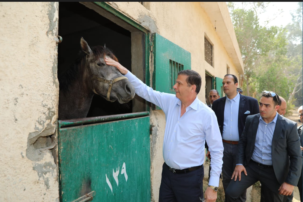 وزير الزراعة ومحافظ القاهرة يتفقدان محطة الزهراء للخيول العربية الأصيلة