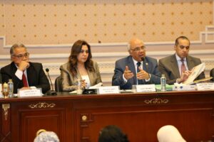 وزيرة التنمية: «الإسكان» هي المسئولة عن تعويض المتضررين من الإيجار القديم