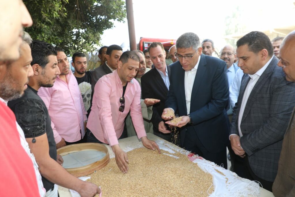 محافظ الجيزة: توريد 44 ألف طن قمح إلى الصوامع والشون حتى الآن