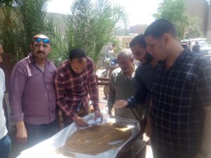 مطاحن مصر الوسطى تستهدف استلام 70 ألف طن قمح من مزارعي بني سويف